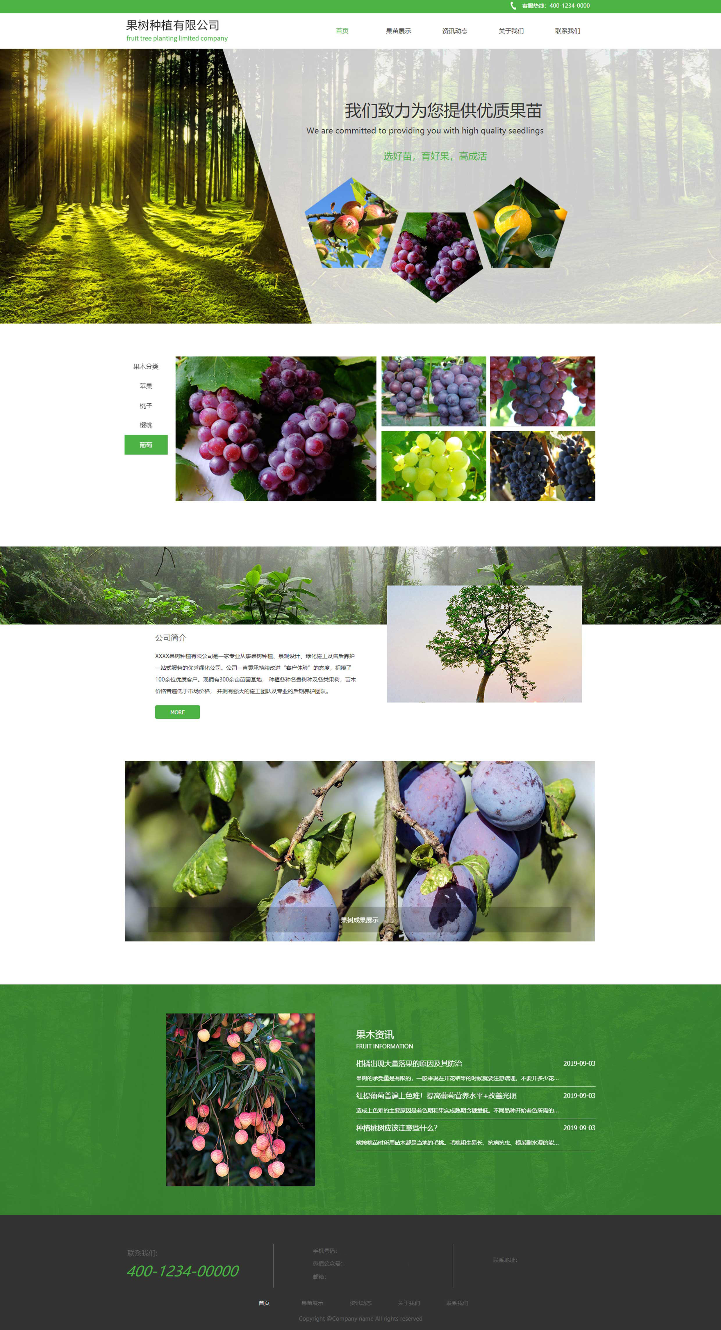 綠色環(huán)保-果樹種植基地網(wǎng)站建設(shè)案例